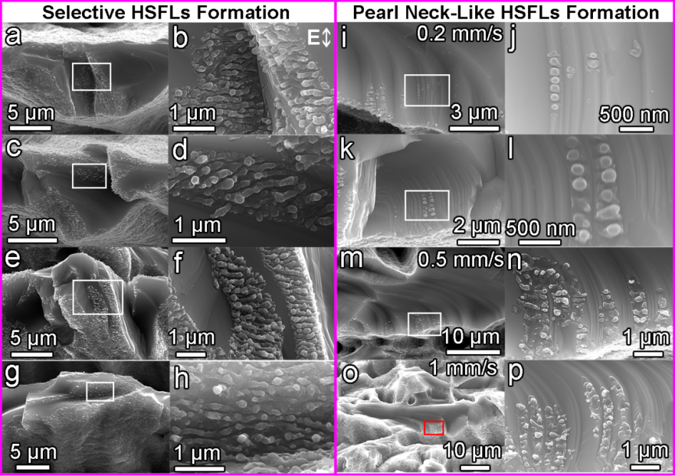 1603868416337790.png 99.png